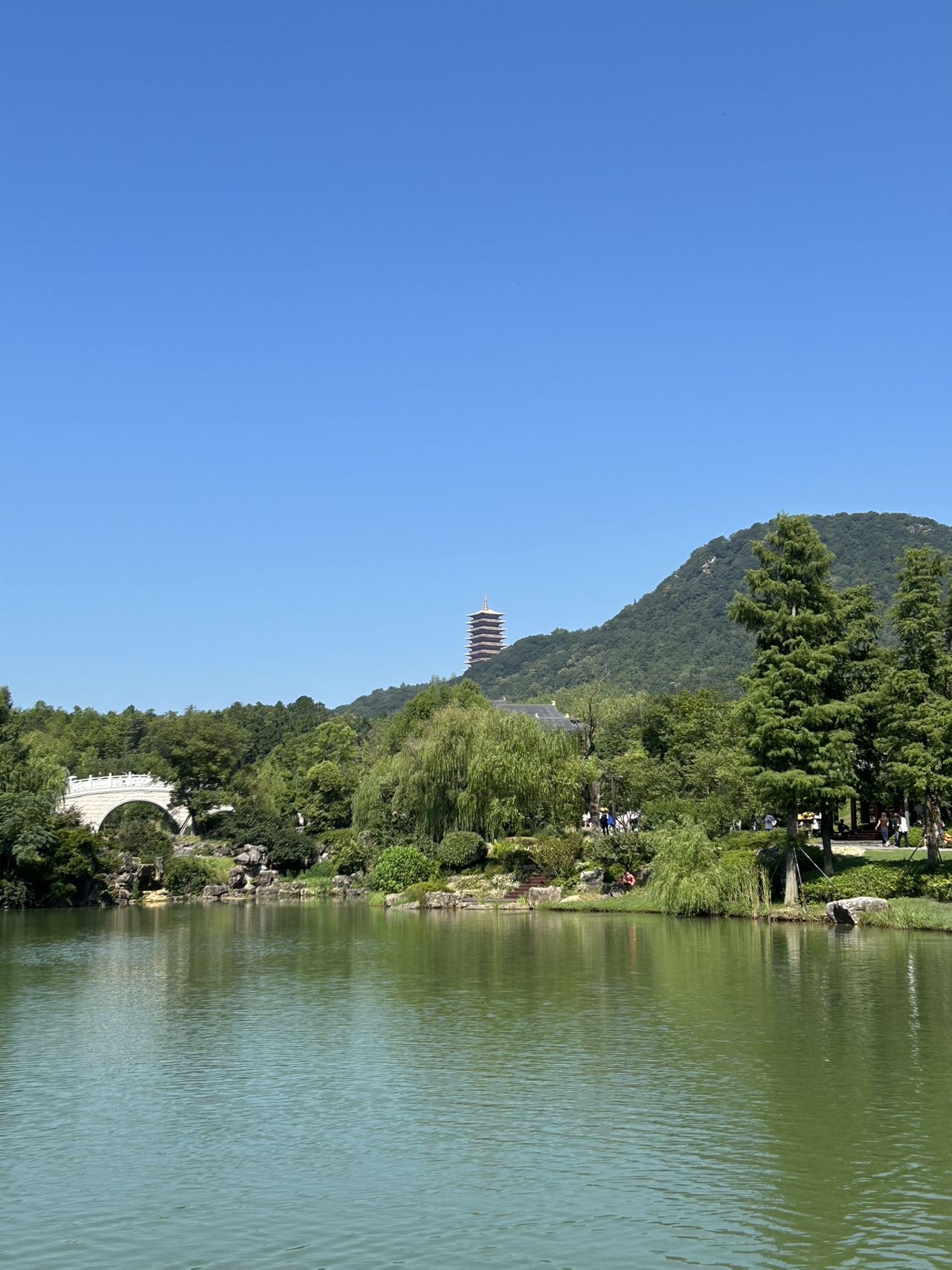 找旅游搭子