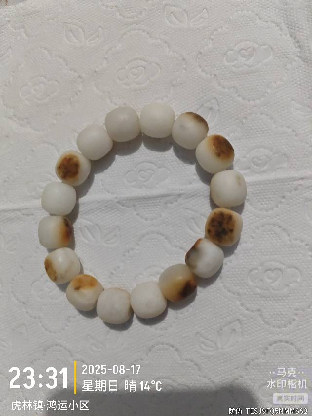 找陪伴搭子