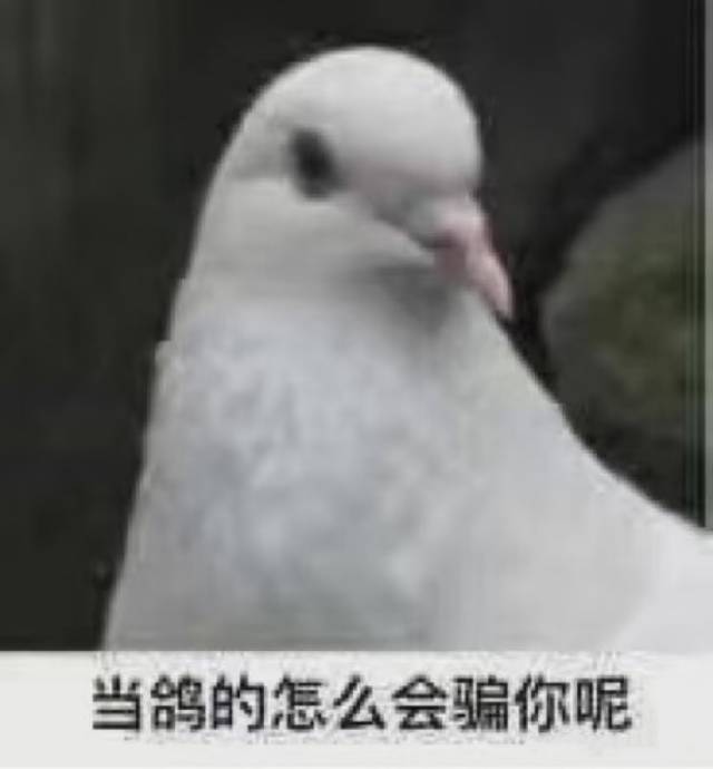 找看电影搭子