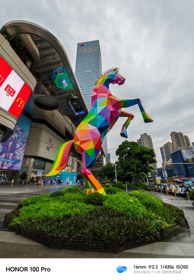 找运动搭子