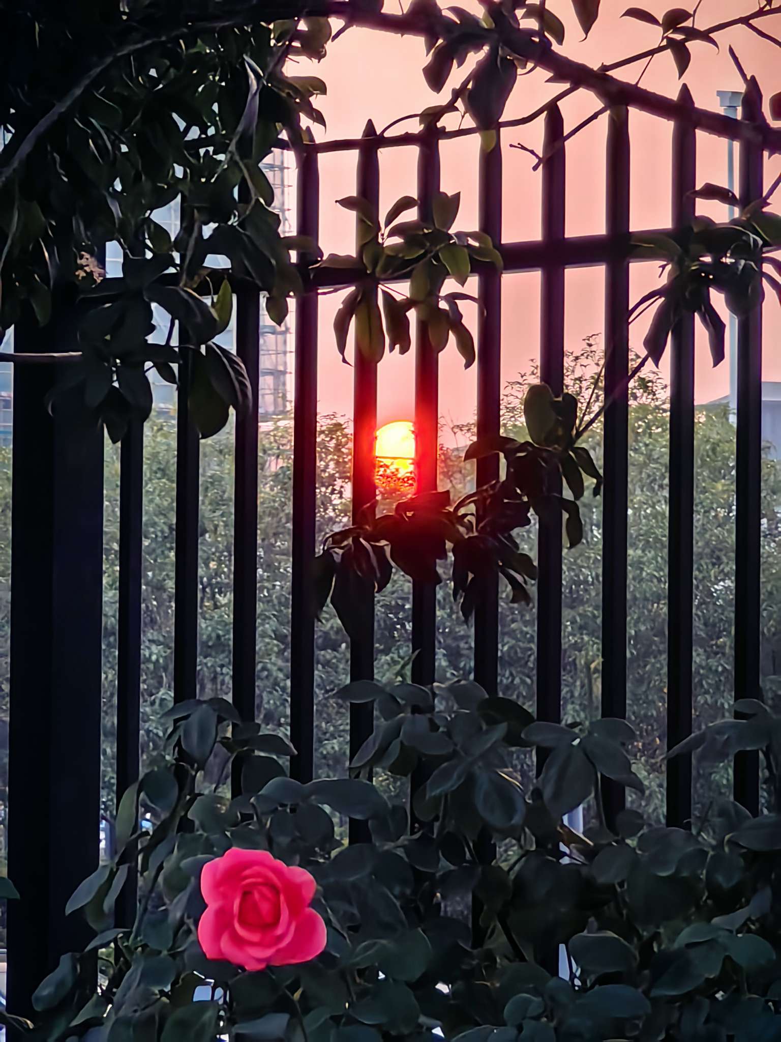 找旅游搭子