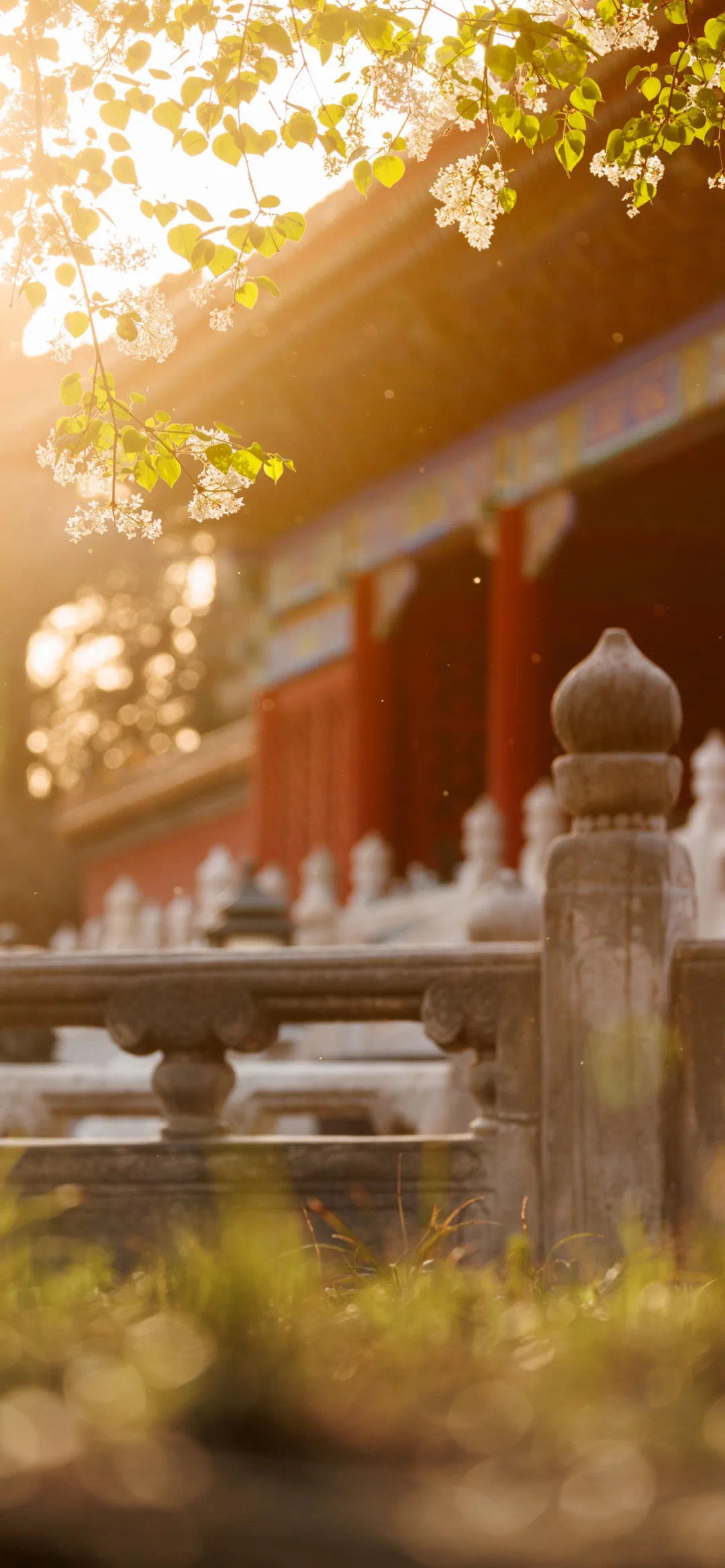 找旅游搭子