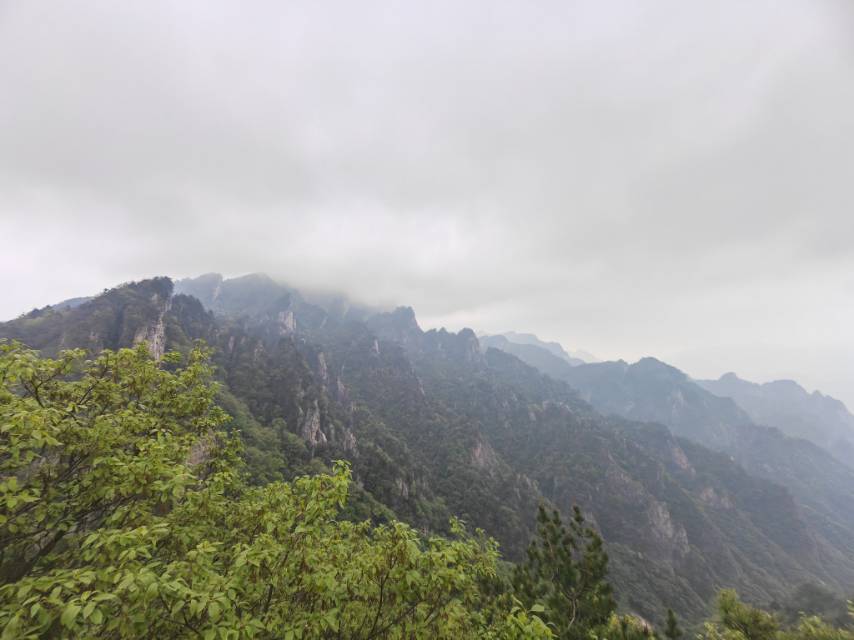 找旅游搭子