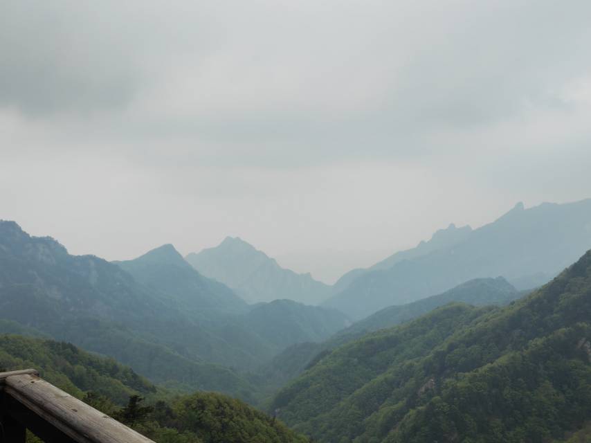 找旅游搭子