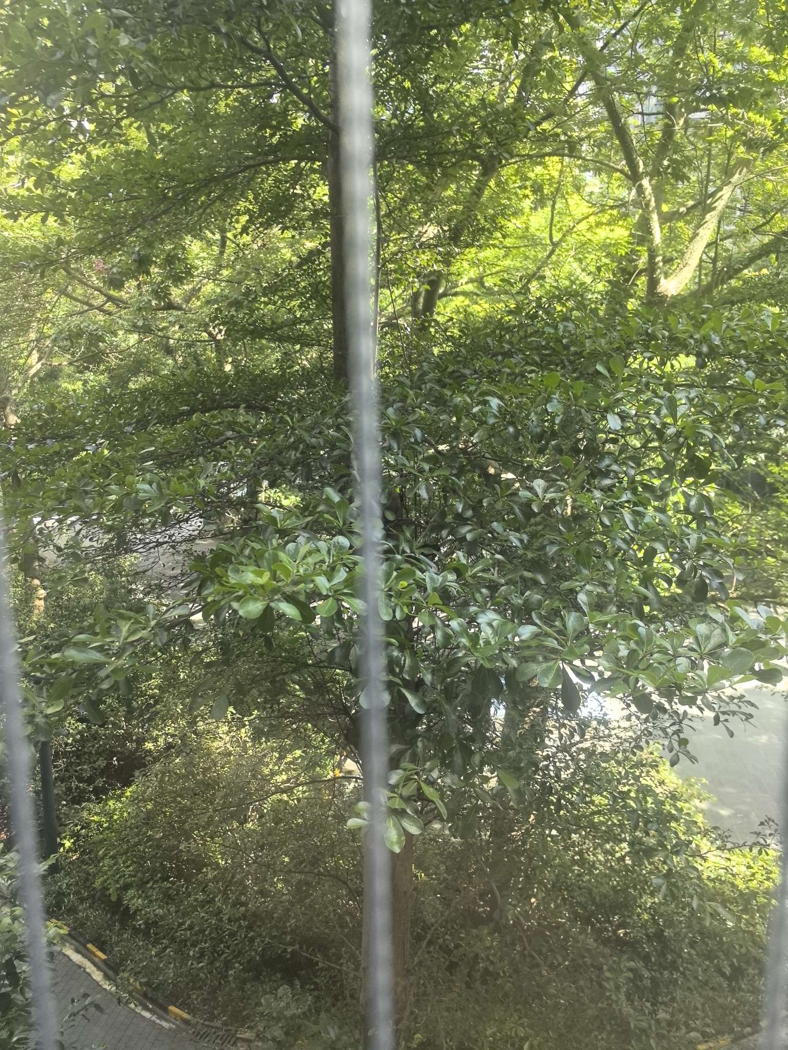 找聊天搭子