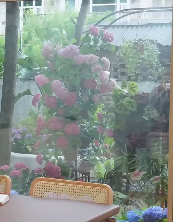 找聊天搭子