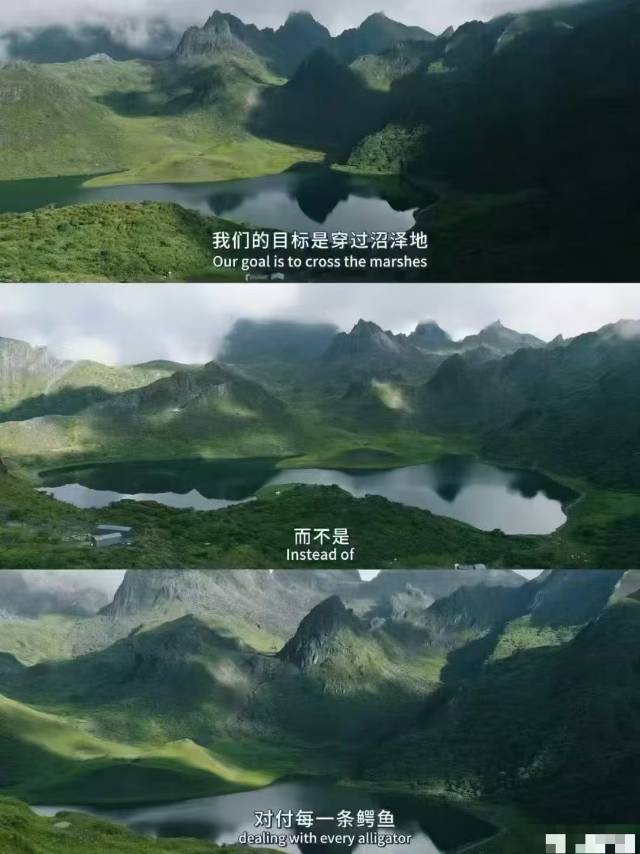 找兴趣搭子