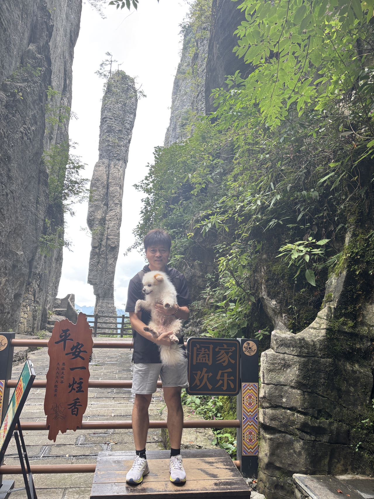 找旅行搭子