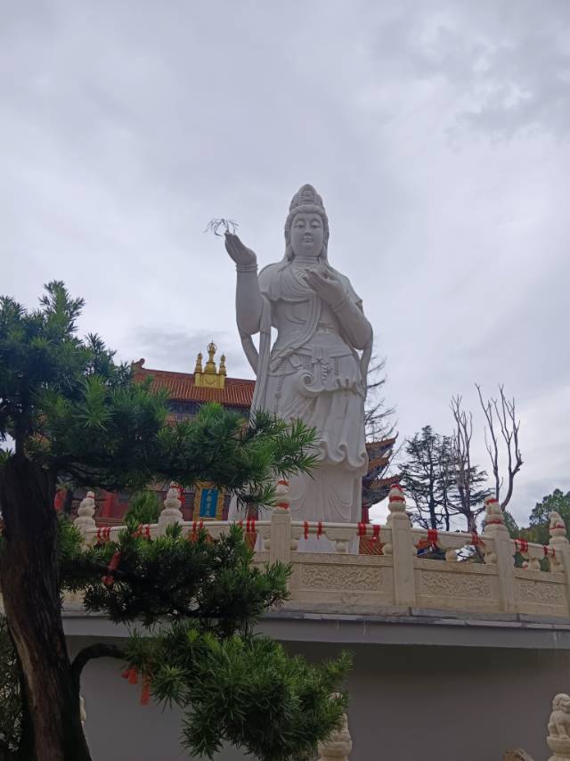找聊天交友搭子