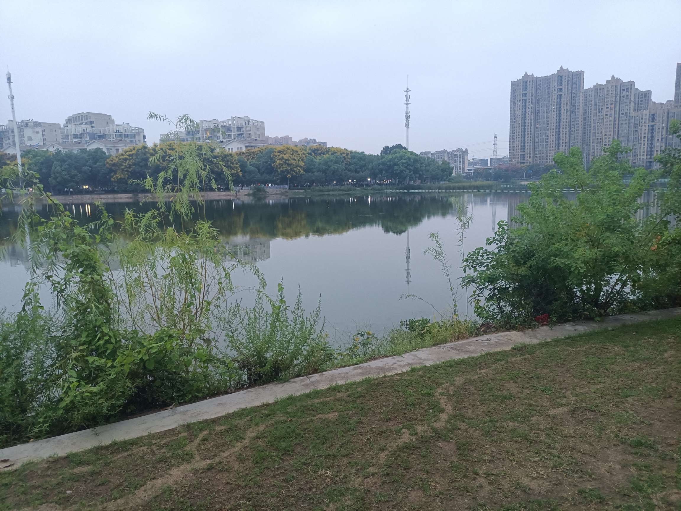找随便搭子