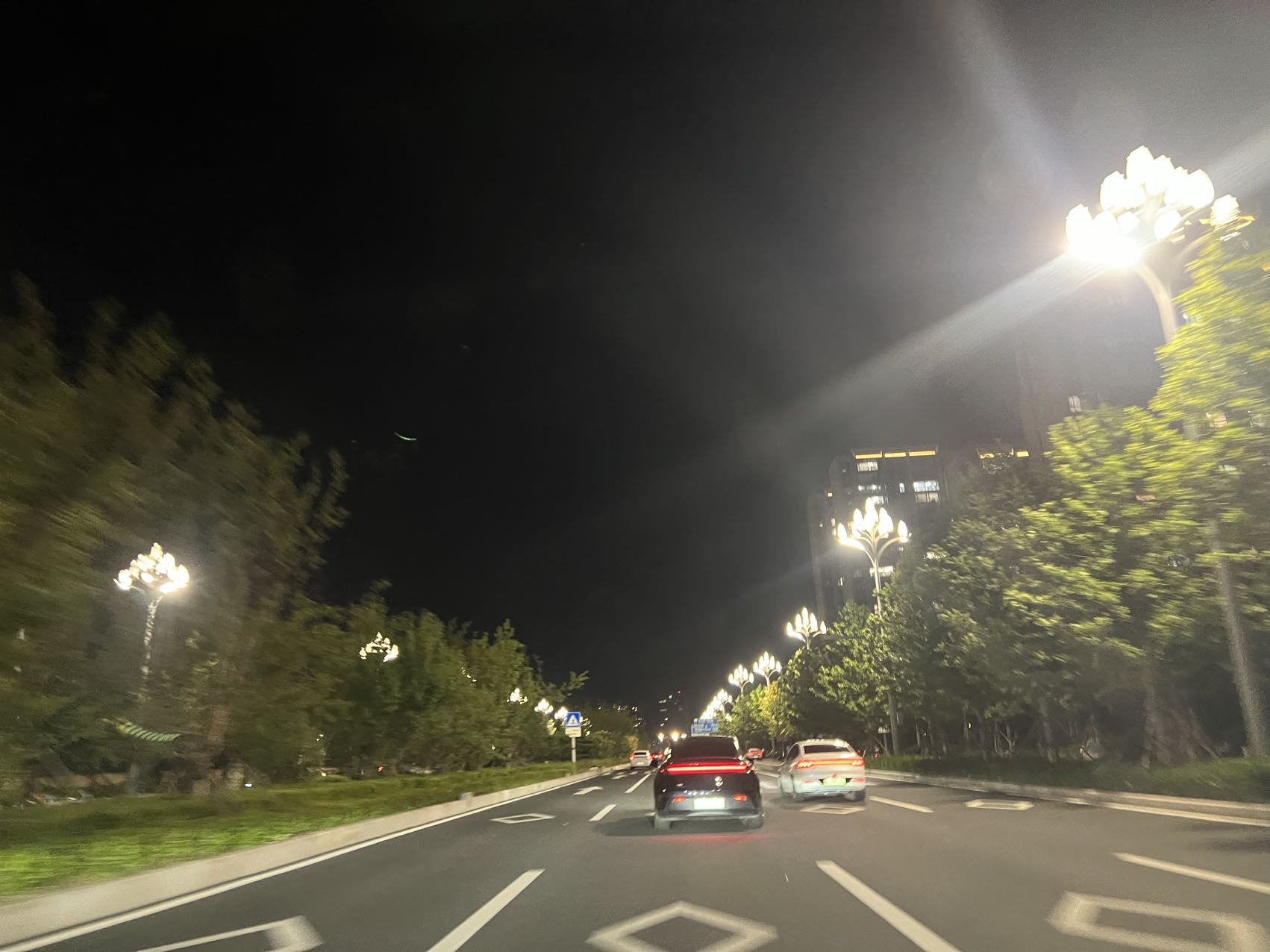 找灵魂搭子