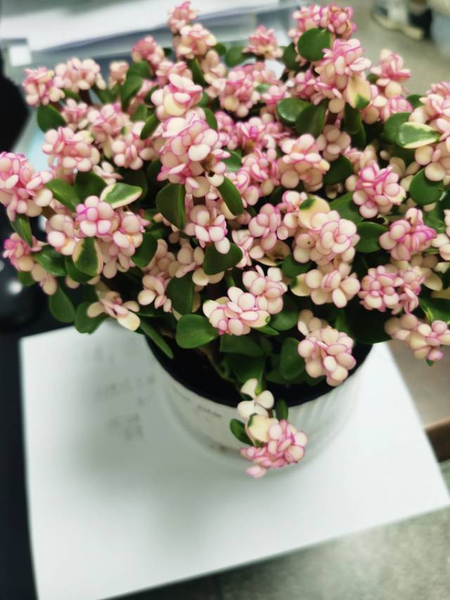 找新疆自驾搭子