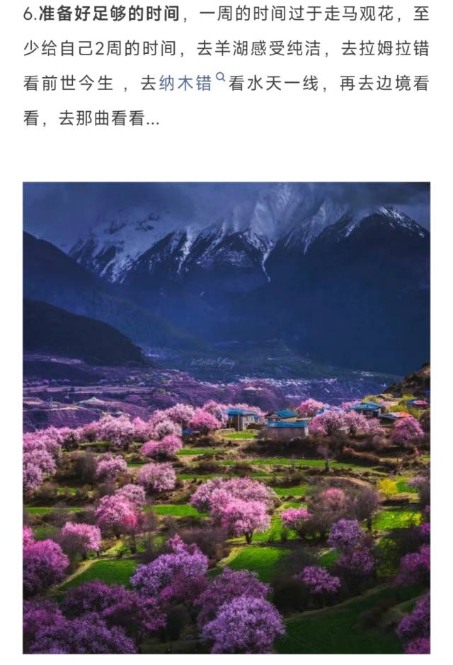 找旅行搭子
