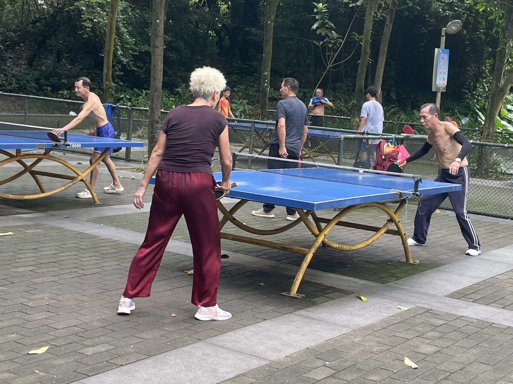 找乒乓球搭子