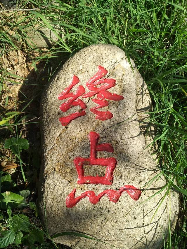 找各种搭子