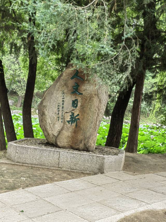找学习搭子