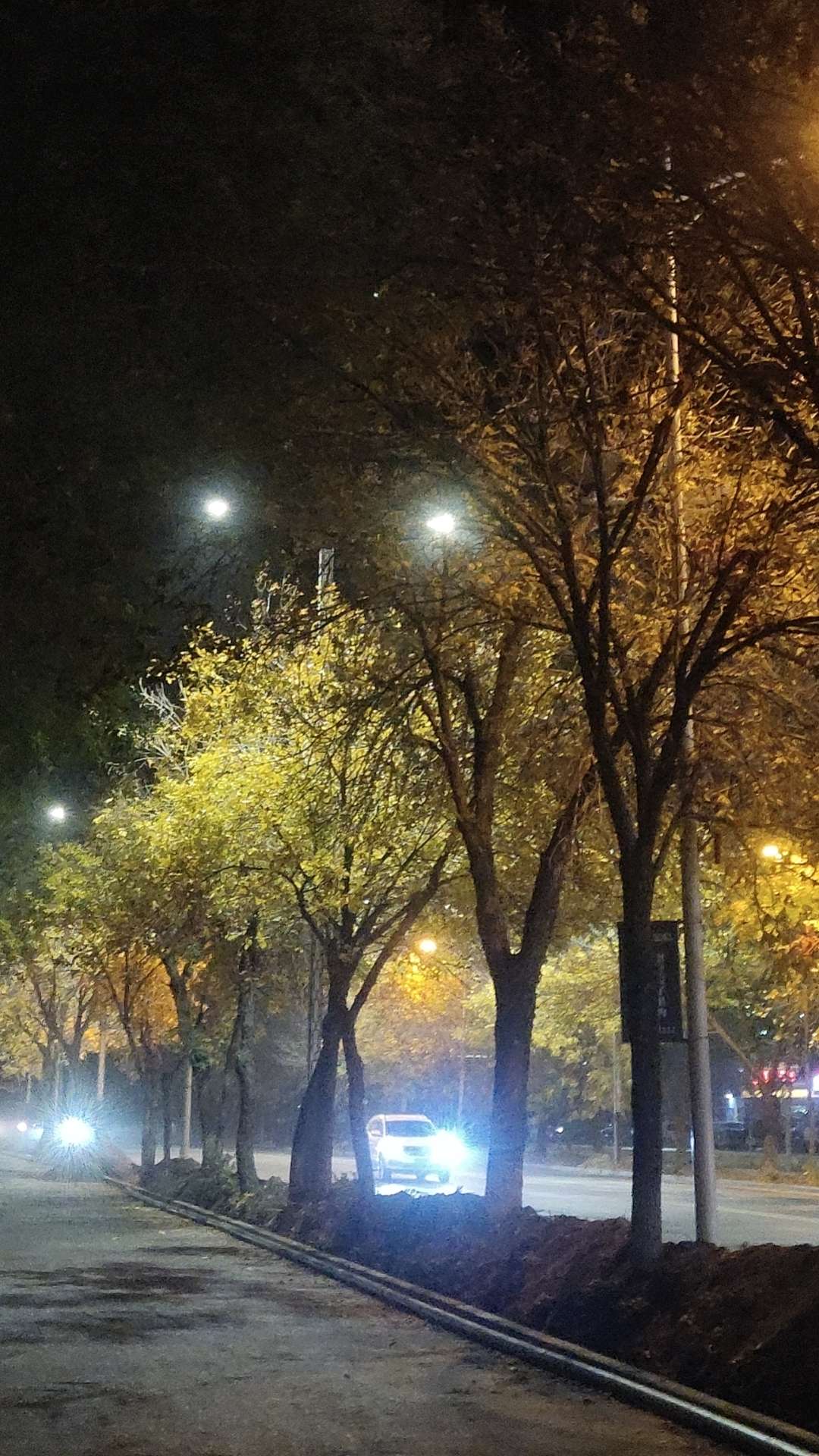 找聊天搭子