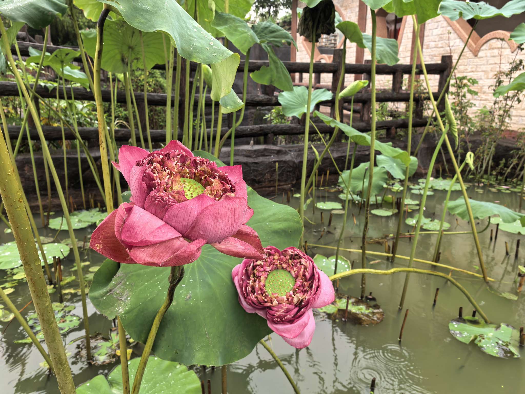 找运动搭子