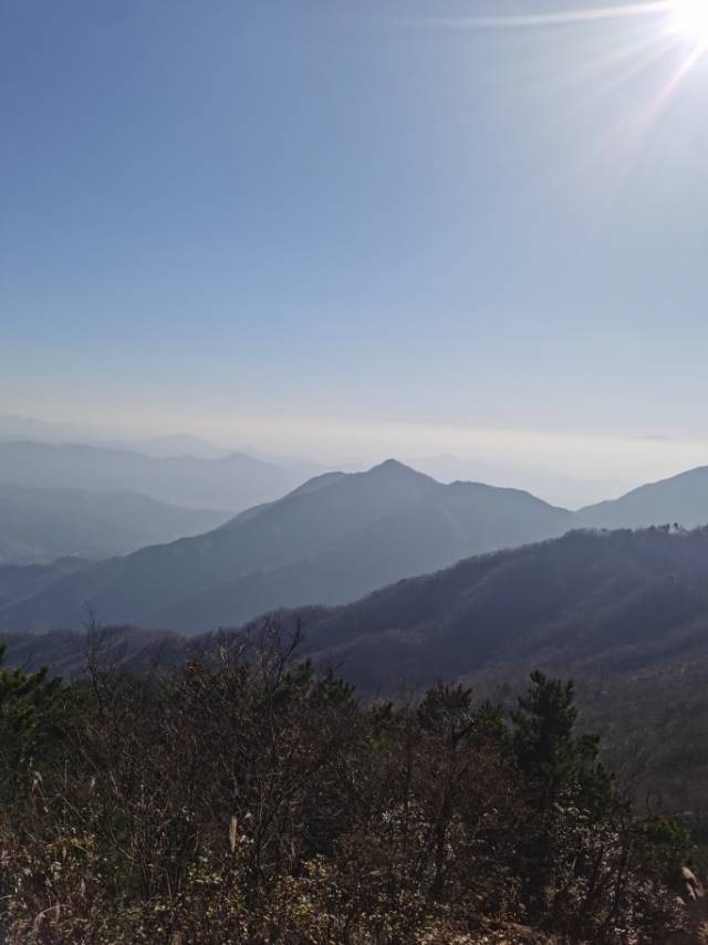 找运动搭子