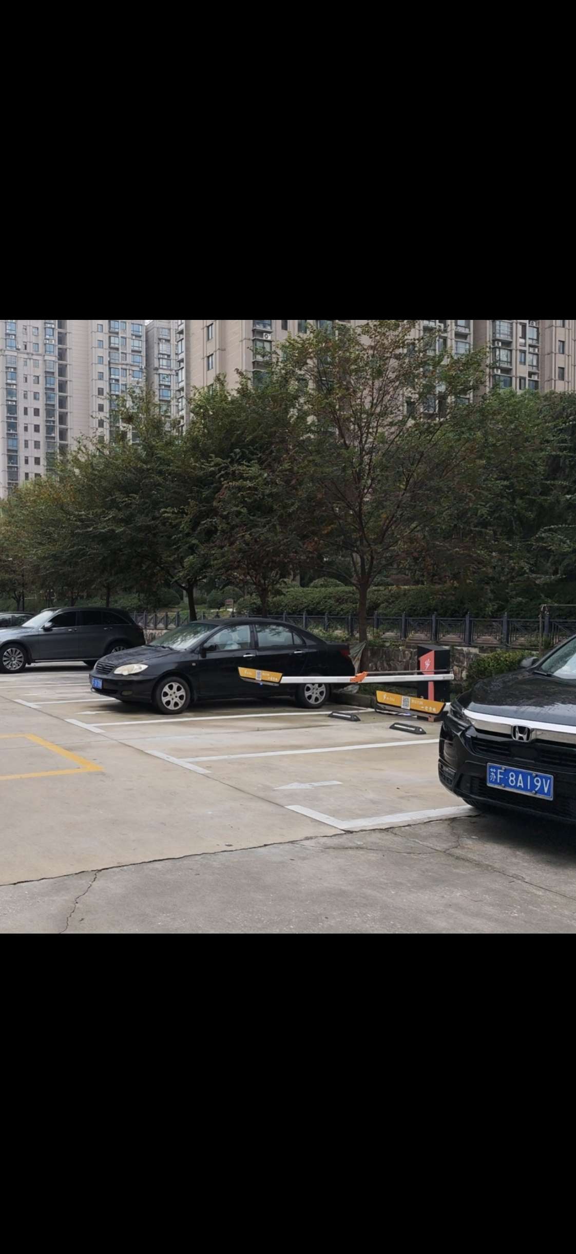 找恋爱搭子