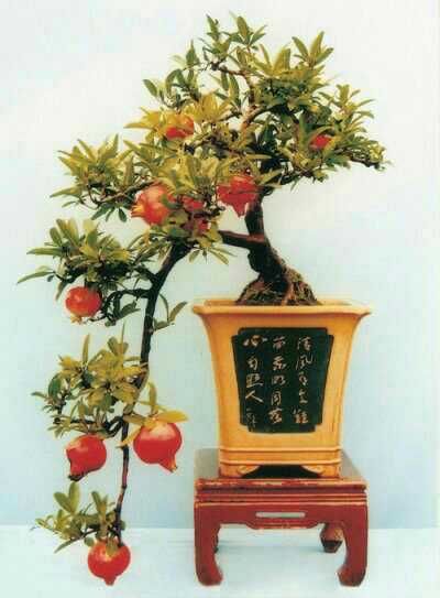 找聊天约会搭子