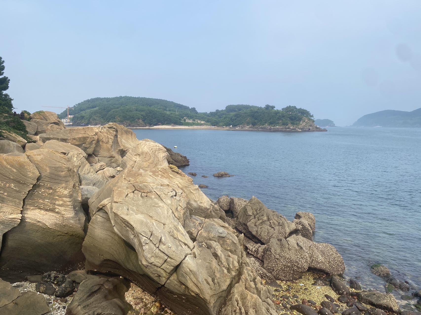 找玩的搭子