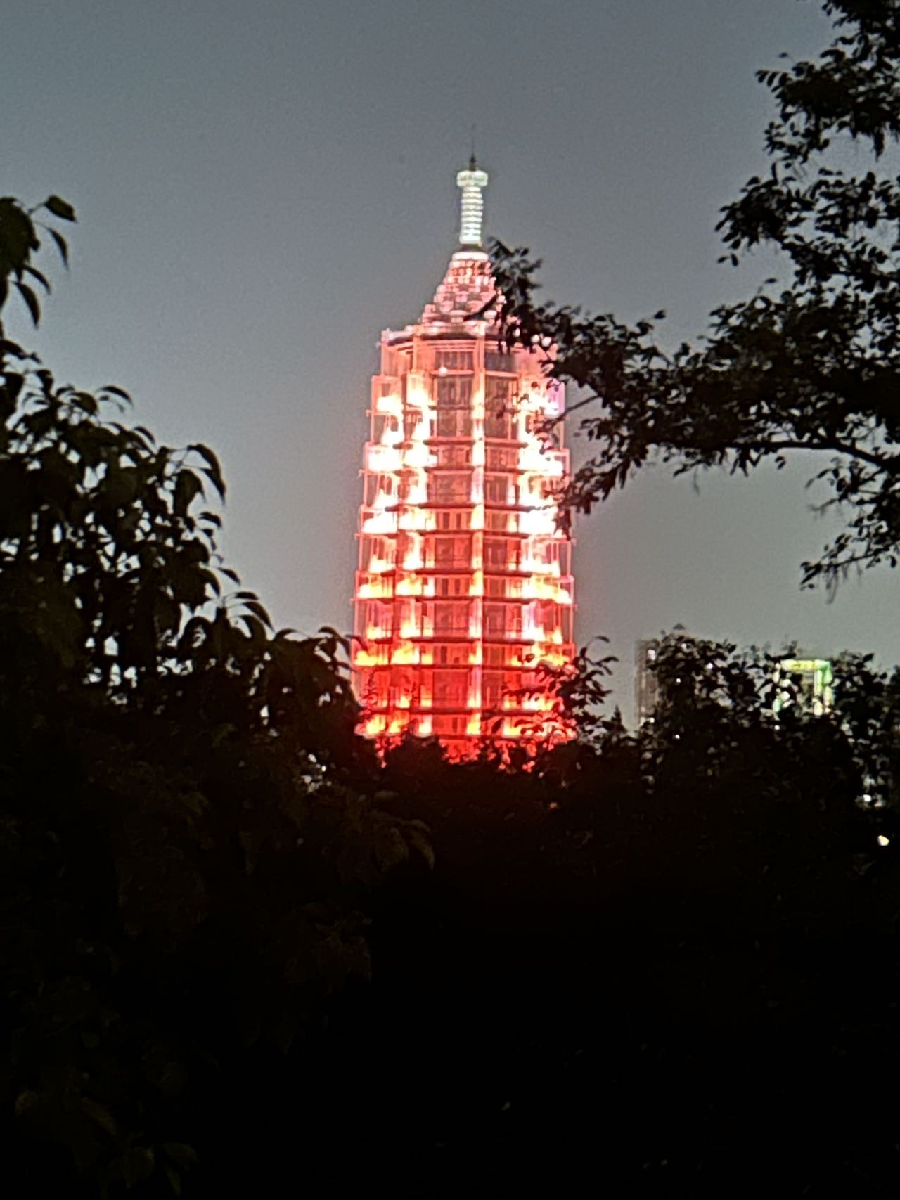找旅游搭子
