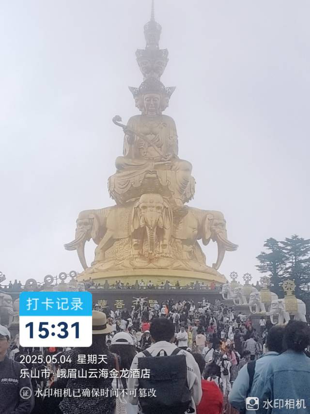 找跑步搭子