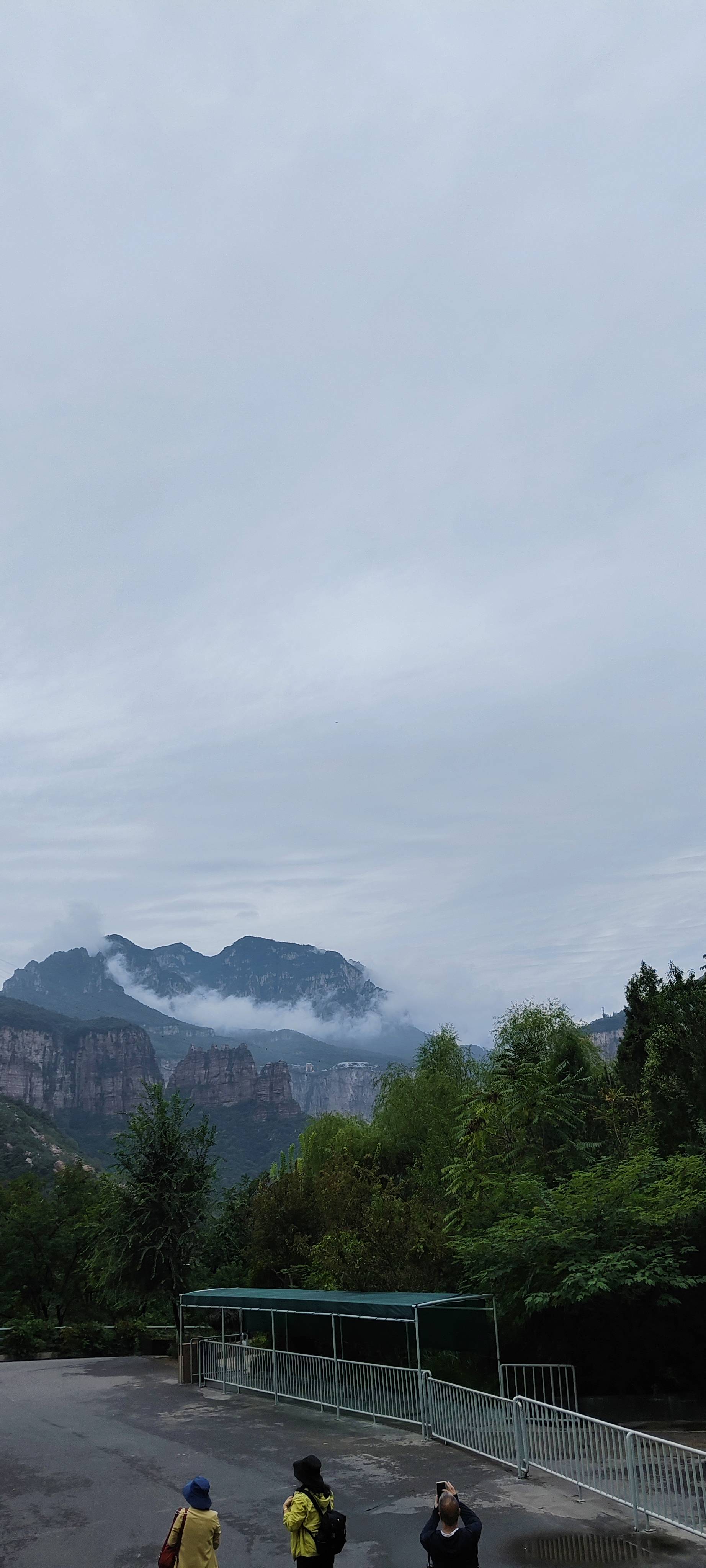 找学习搭子