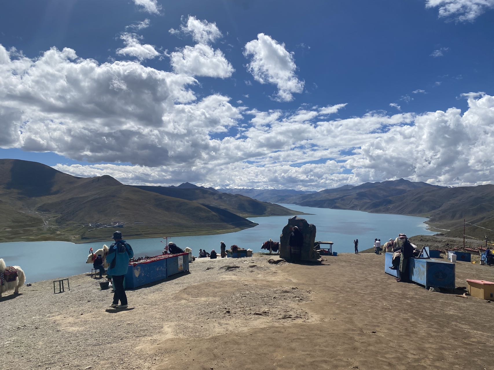 找旅游搭子
