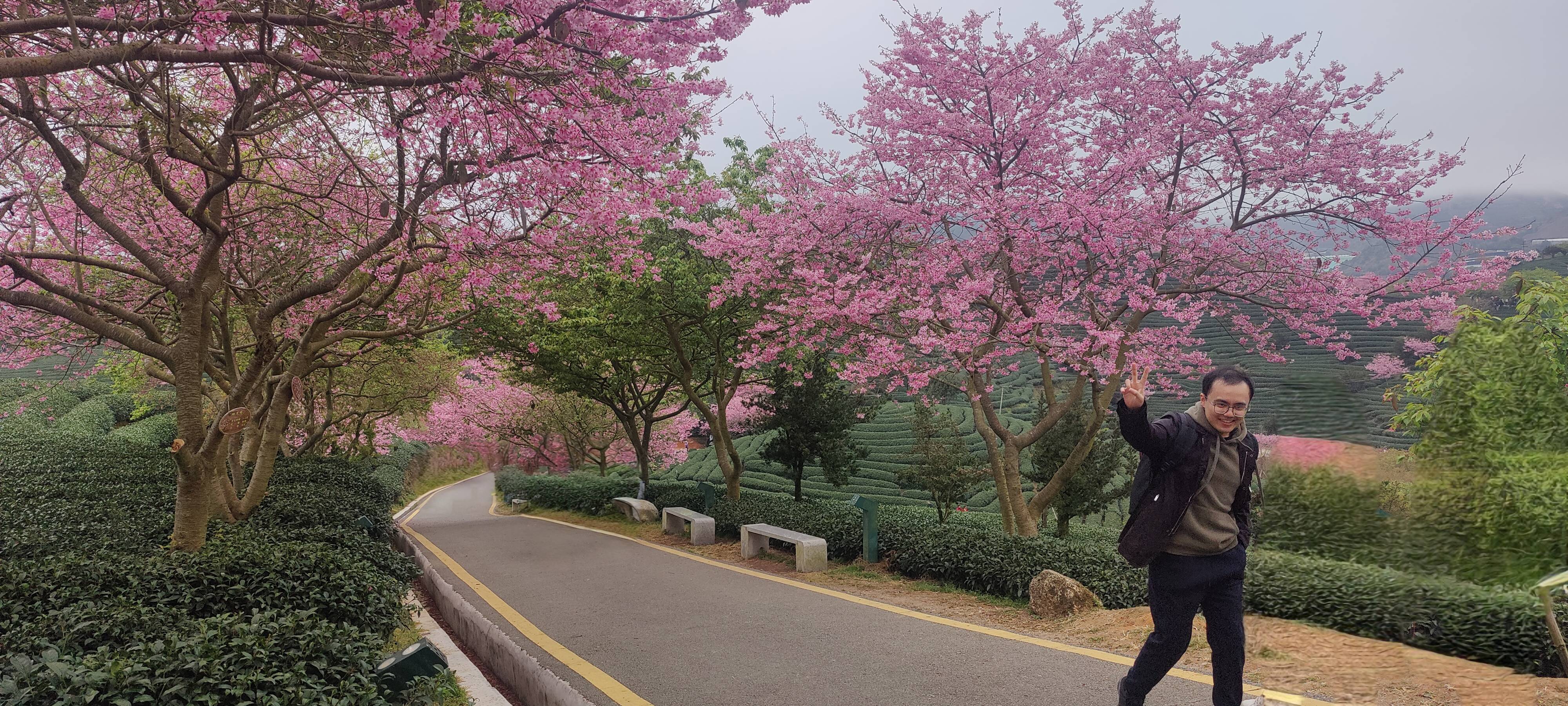 找旅游搭子