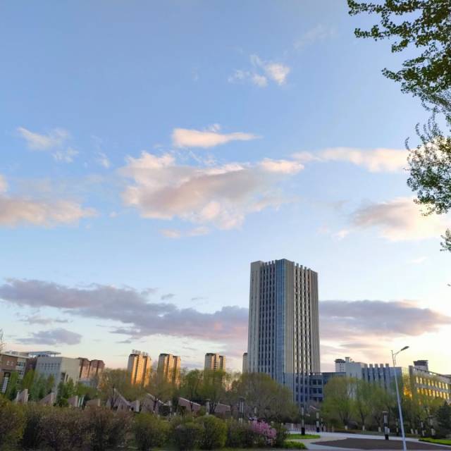 找学习搭子