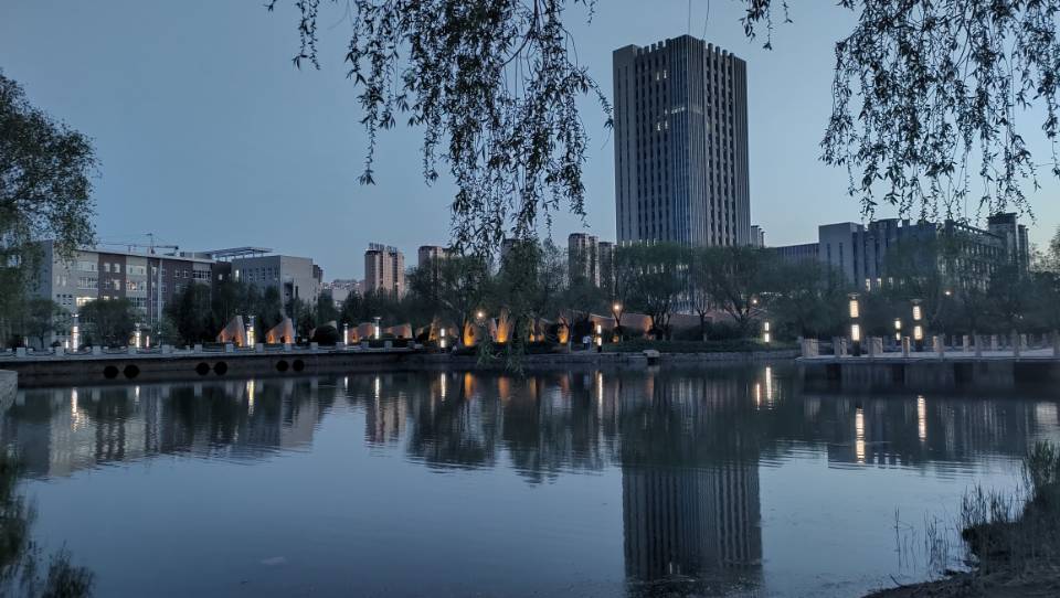 找学习搭子