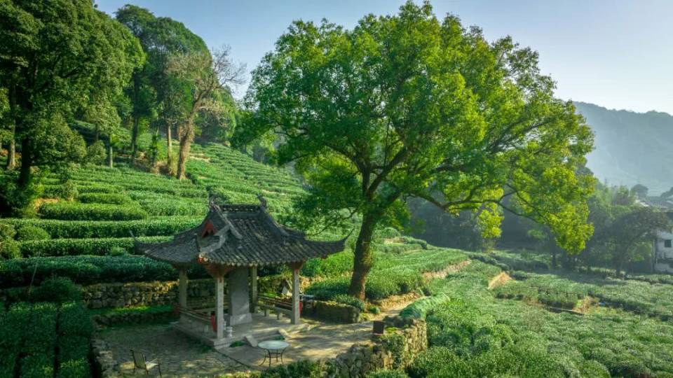 找运动旅游搭子