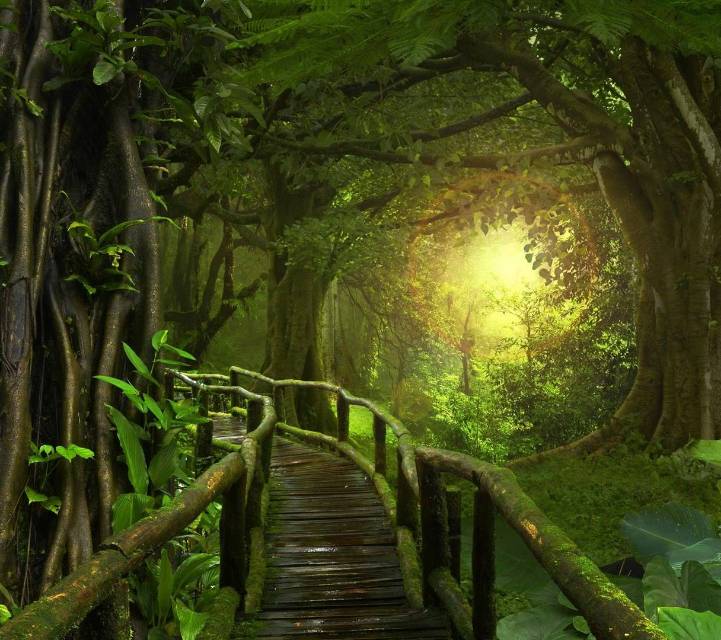 找旅游搭子