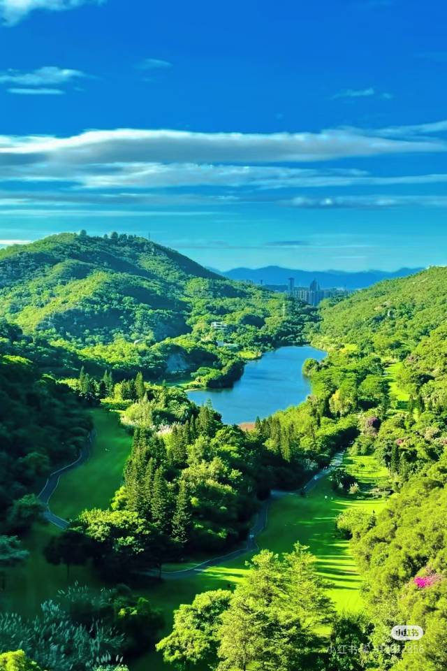 找旅游搭子
