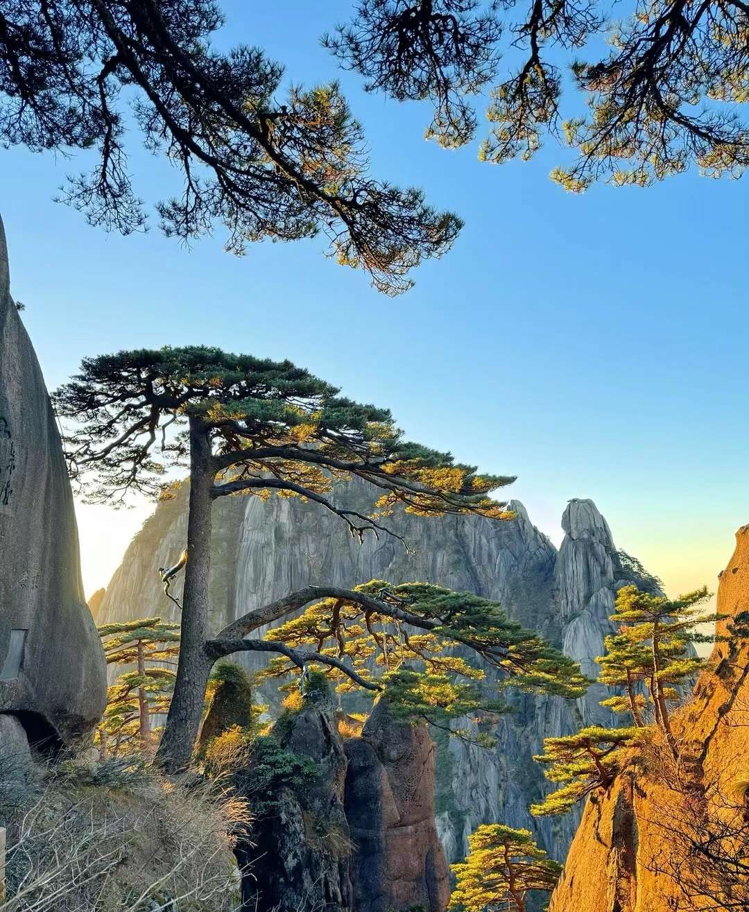 找运动搭子