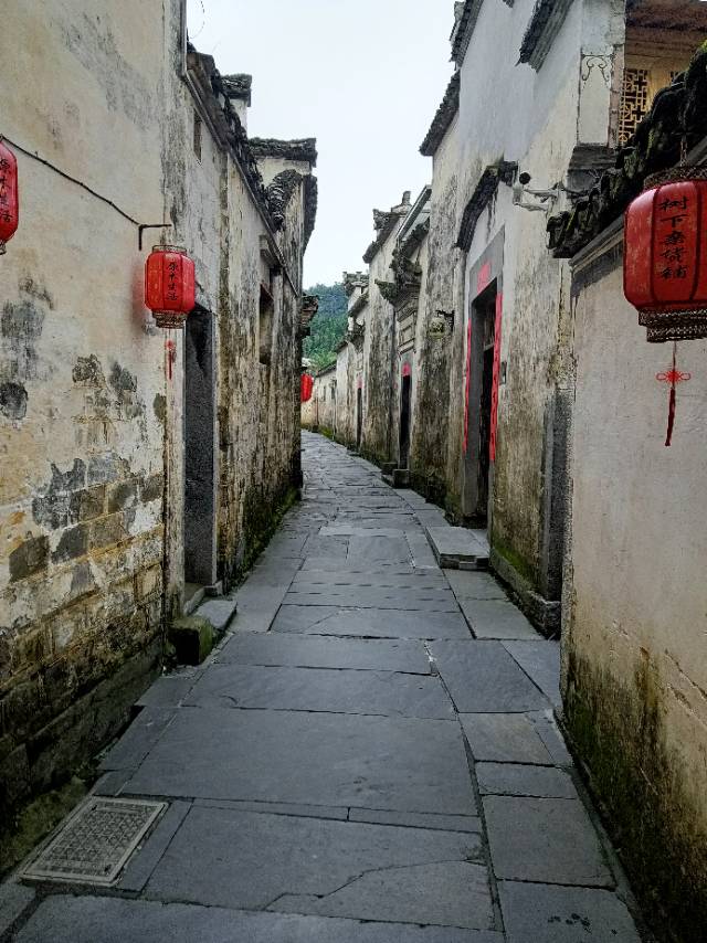 找旅游搭子