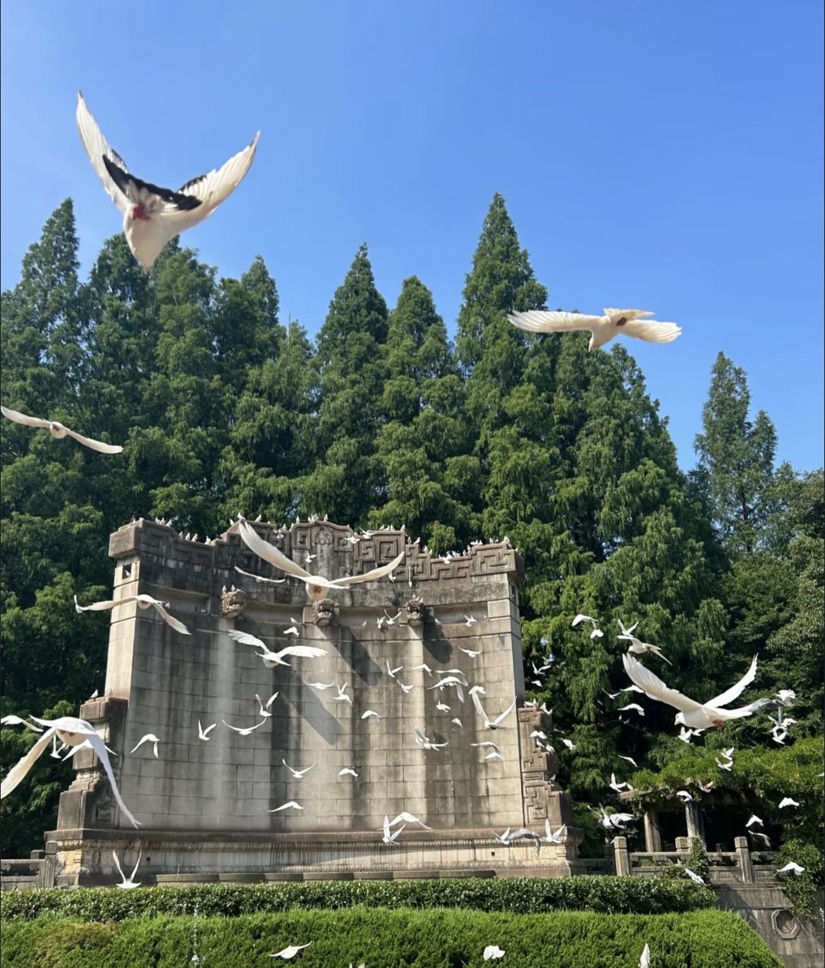 找旅游搭子