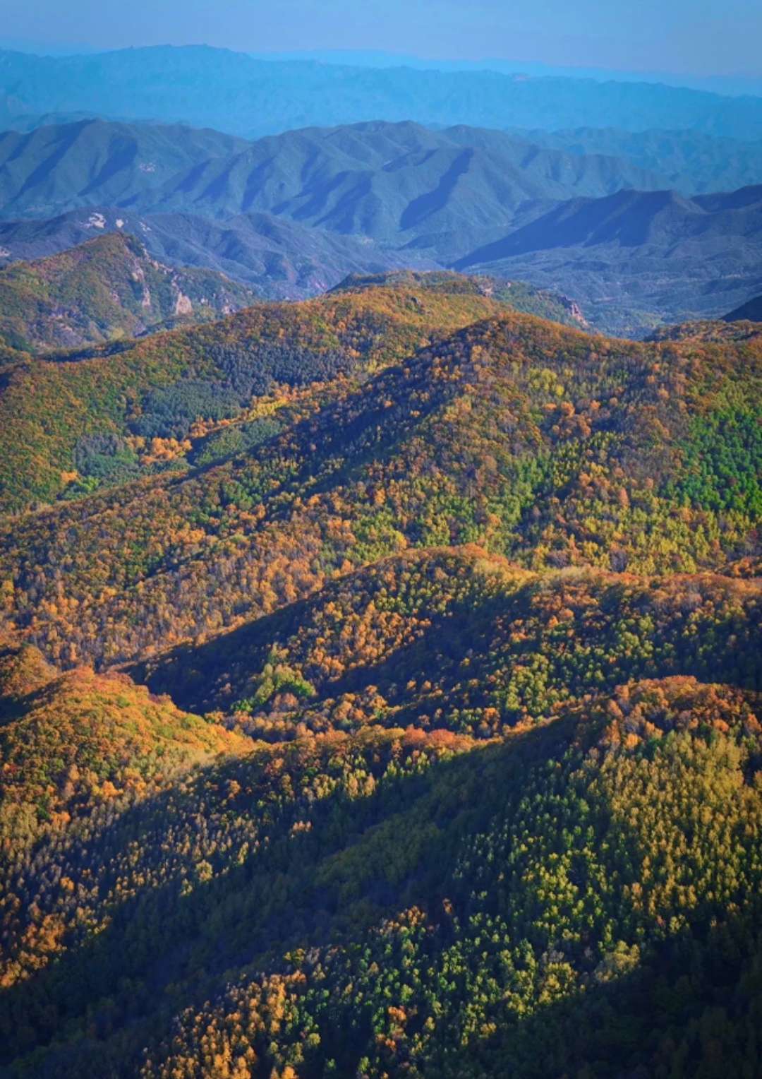 找登山搭子