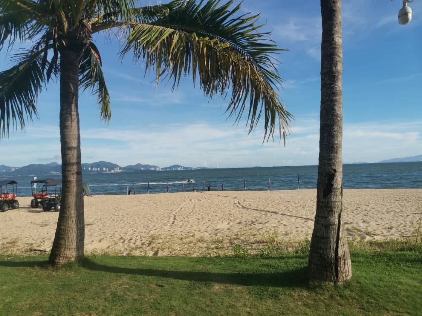 找旅游搭子