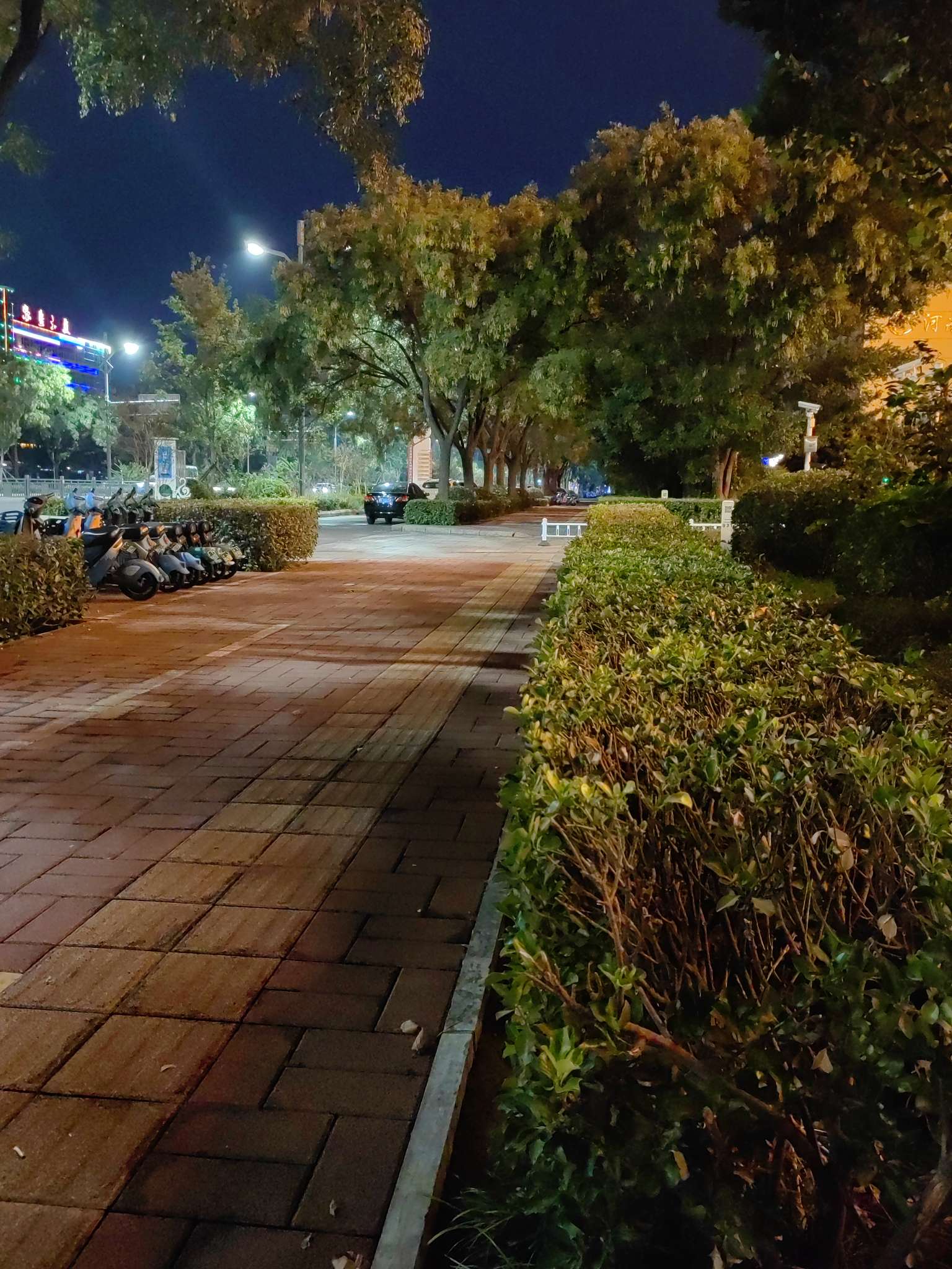 找结伴游搭子