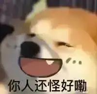 找旅游搭子