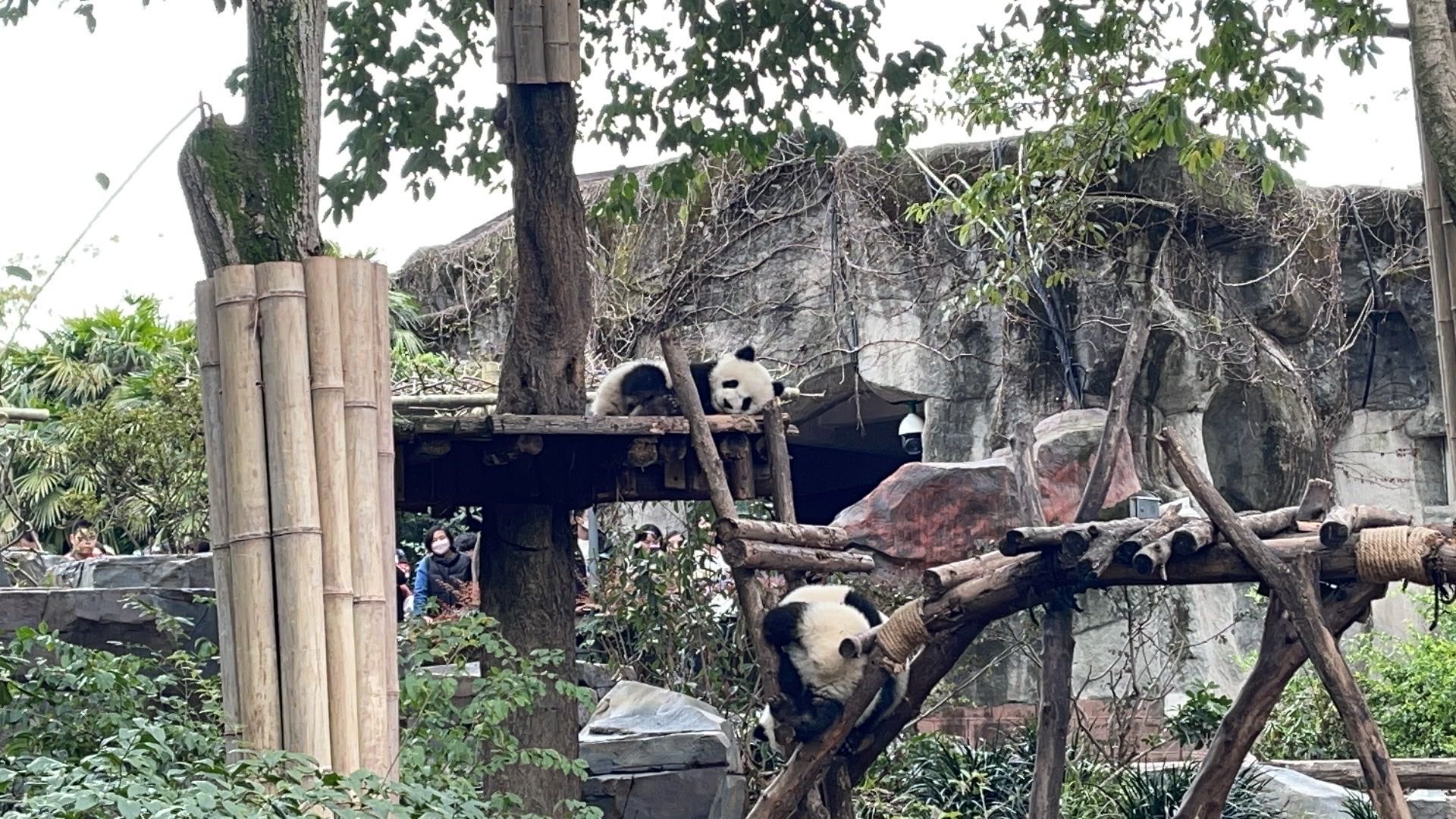 找摸鱼搭子