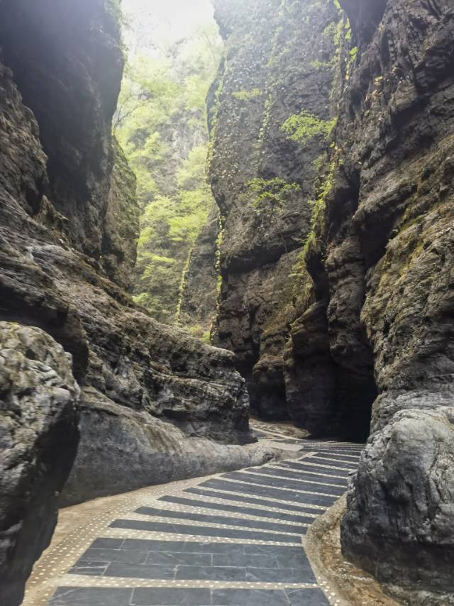 找旅游搭子
