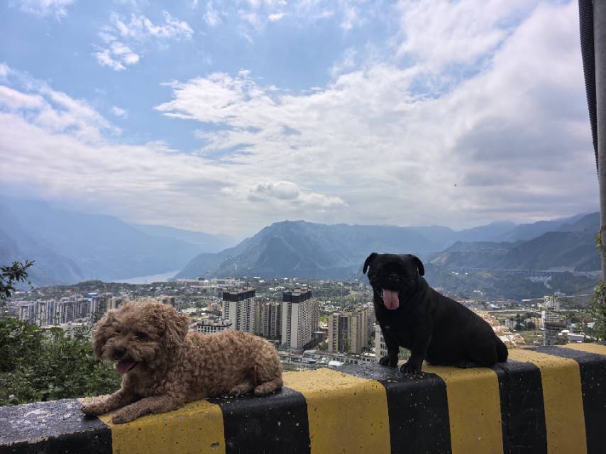 找出门旅游逛吃搭子