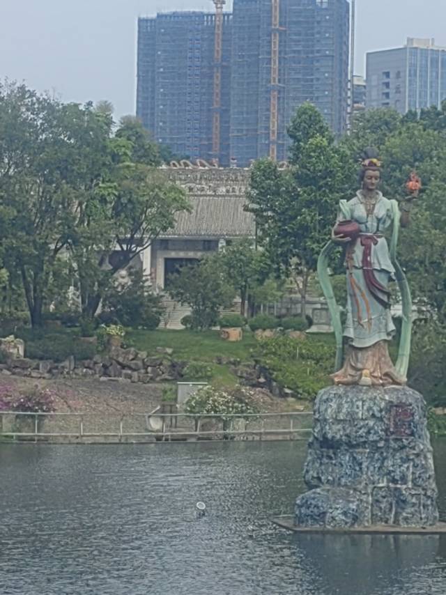 找有缘的搭子