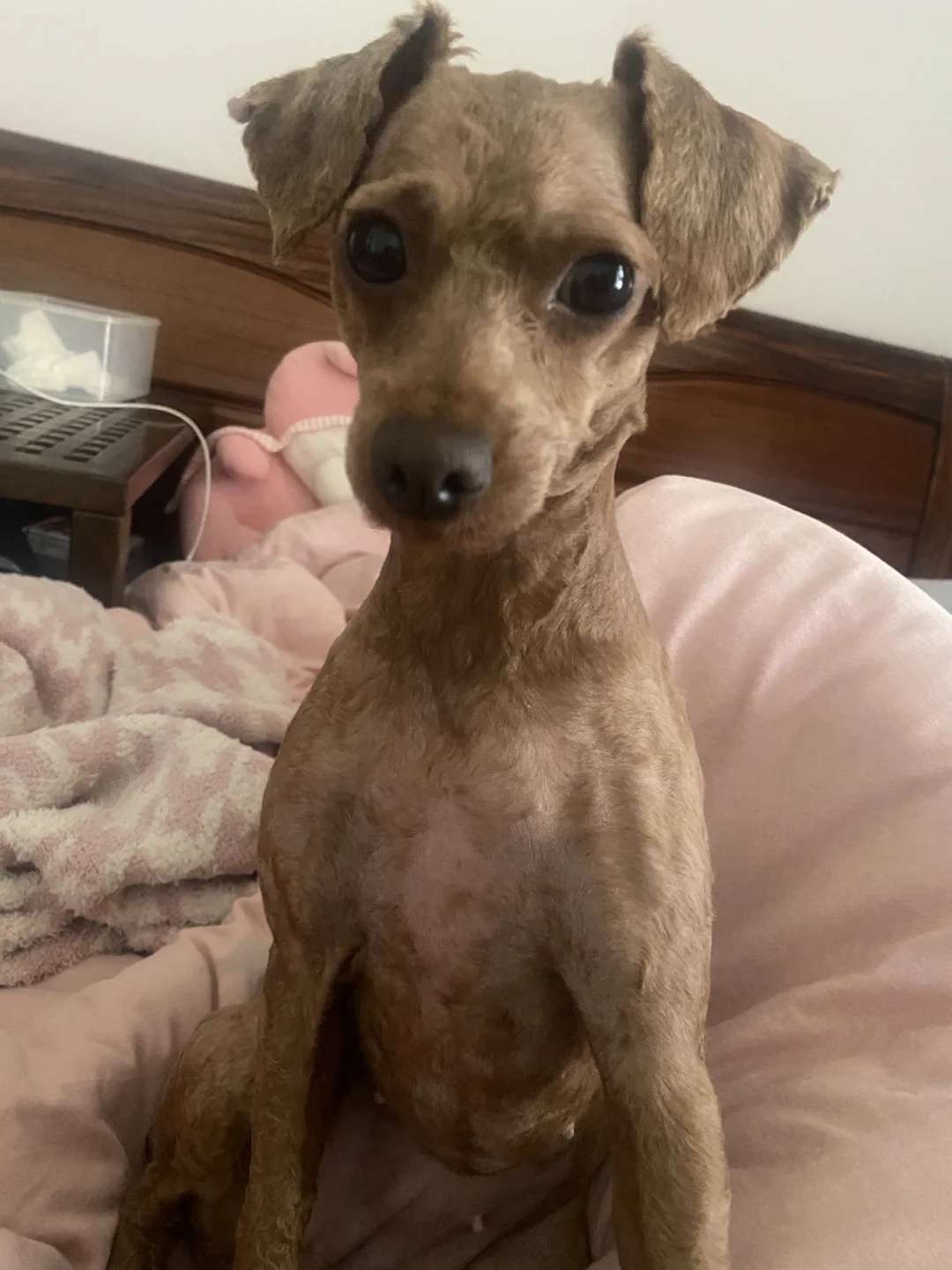 找运动休闲搭子