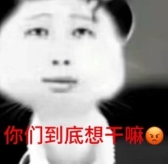 找拍照搭子