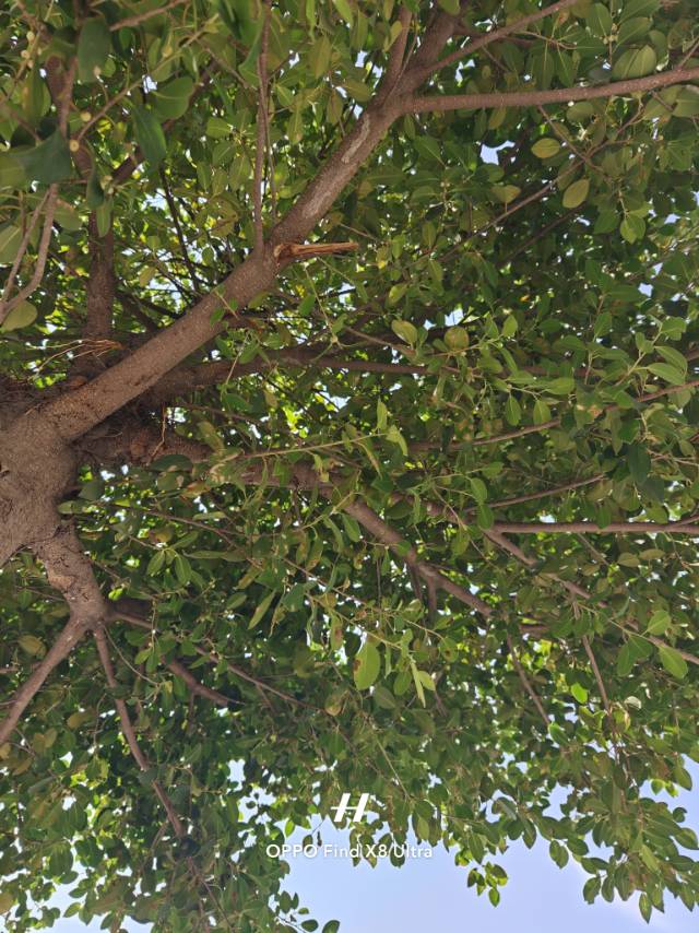 找爬山徒步搭子